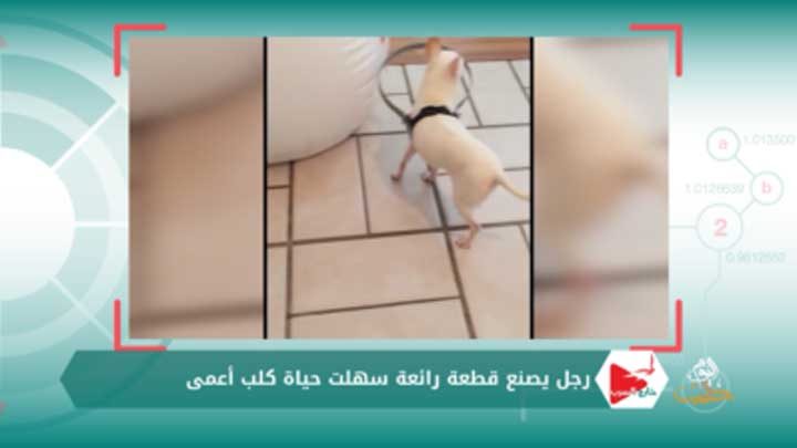 خارج السرب الحلقة 46 – رجل يصنع قطعة رائعة سهلت حياة كلب أعمى