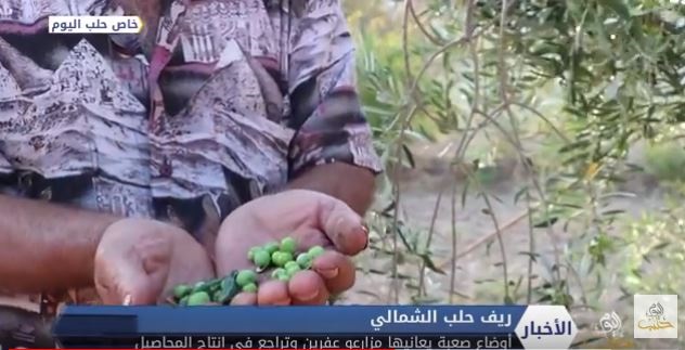 أوضاع صعبة يعانيها مزارعو عفرين وتراجع في انتاج المحاصيل