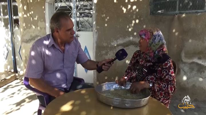 جولات – يازي باغ.. المعصرة والكروم