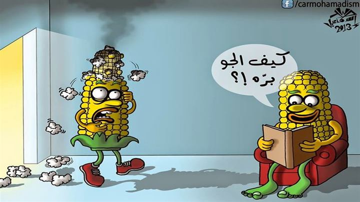 كاريكاتير اليوم 17 08 2019