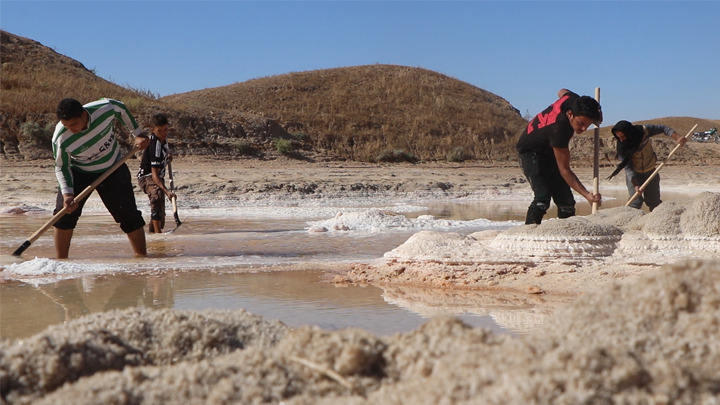 تعرف على طرق استخراج الملح من أحواض الشدادي جنوبي الحسكة