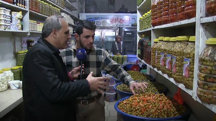 جولات- موسم الزيتون.. العصر والتصنيع