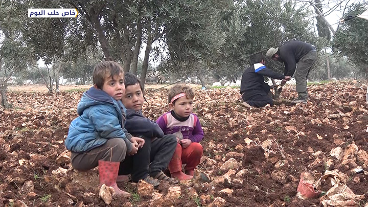 موجز الحادية عشر صباحاً 14 02 2020