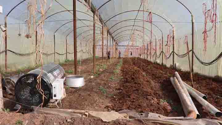 البيوت البلاستيكية.. وسيلة بعض المزارعين لمواجهة ارتفاع الأسعار شمال شرق سوريا