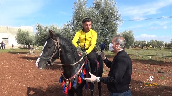 جولات – الخيول العربية في سوريا