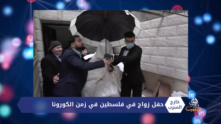 خارج السرب – أسد البحر يتجول في شوارع الأرجنتين وحفل زواج بفلسطين في زمن الكورونا