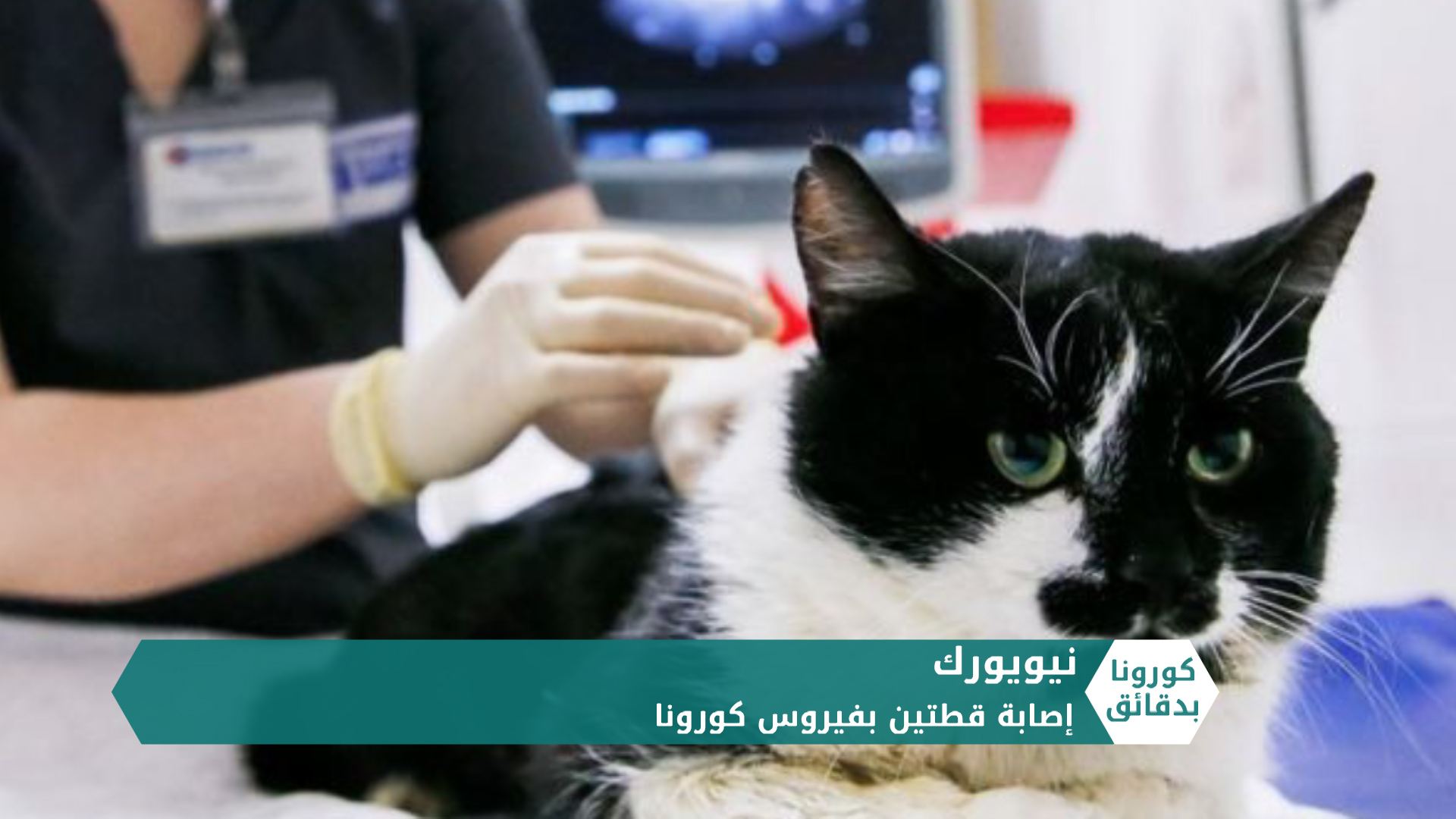 كورونا بدقائق2 – 25 04 2020