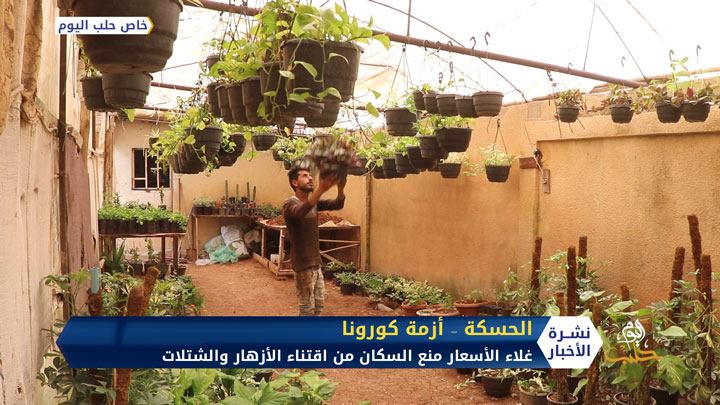 إقبال ضعيف على مشاتل الورد و أشجار الزينة في الحسكة