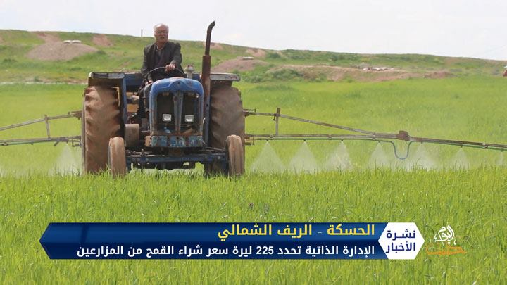 الإدارة الذاتية تحدد سعر شراء القمح والمزارعون يرفضون