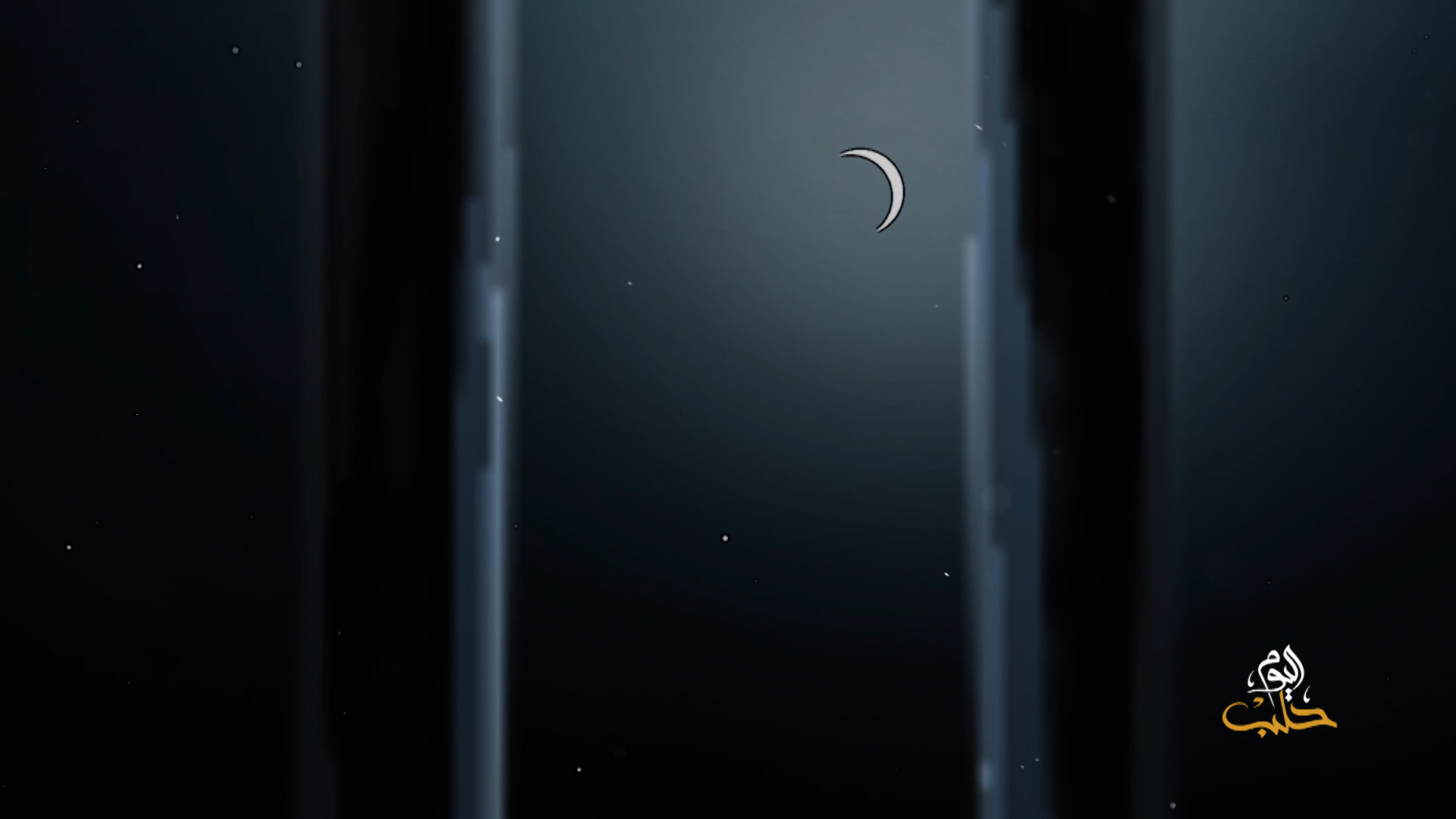 النظام امتص موجة الضغط الدولية عبر العفو العام