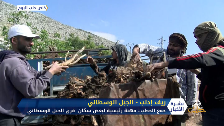 جمع الحطب وبيعه.. مهنة رئيسية في قرى الجبل الوسطاني بريف إدلب