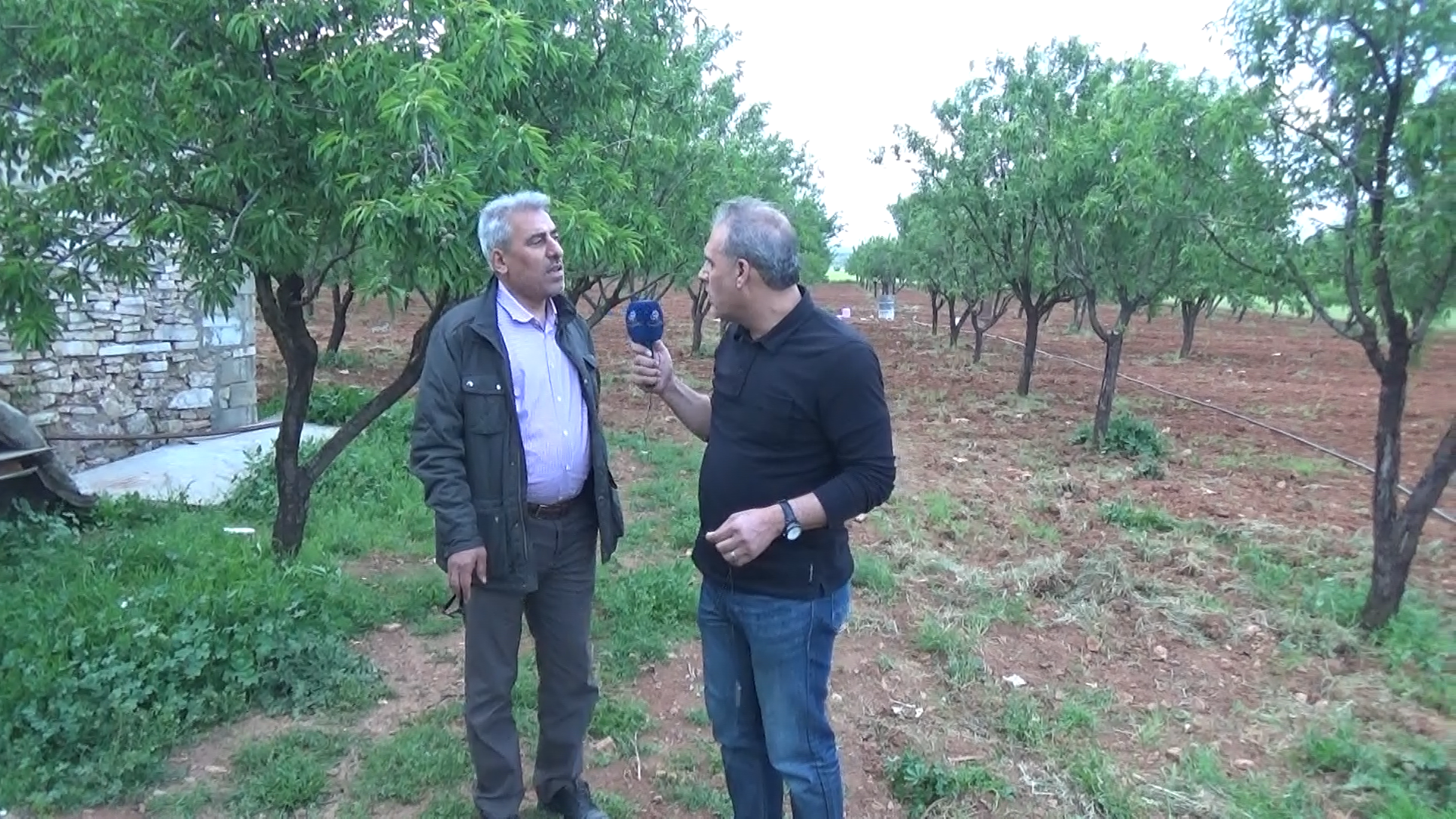 جولات- حزوان.. الزراعة والقباب