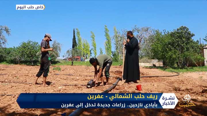 نازحون من إدلب وحلب يدخِلون زراعات وأساليب جديدة إلى مكان إقامتهم الجديد في عفرين