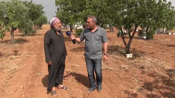 جولات – كلجبرين.. الجامع والنحل