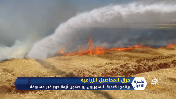 من يقف وراء إحراق المحاصيل الزراعية في سوريا؟.. ومن المستفيد من ذلك؟.. ومن الخاسر الأكبر؟