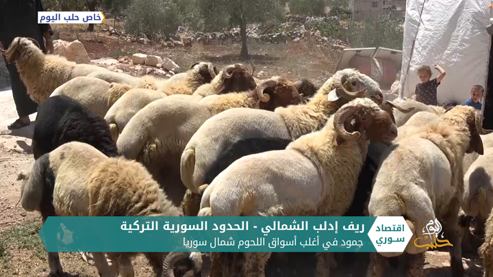 التجهيز لمشاريع أضاحي العيد شمال سوريا