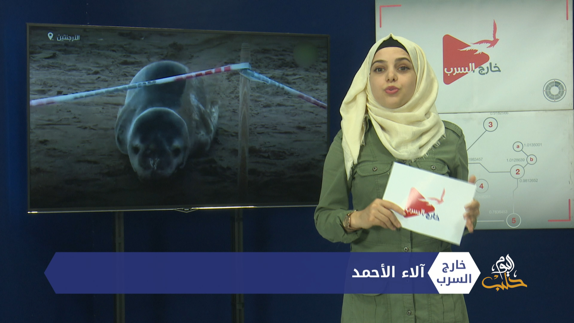 خارج السرب – انفجار في مصنع للألعاب النارية غرب تركيا و كلب يعبر عن رغبته بلغة البشر