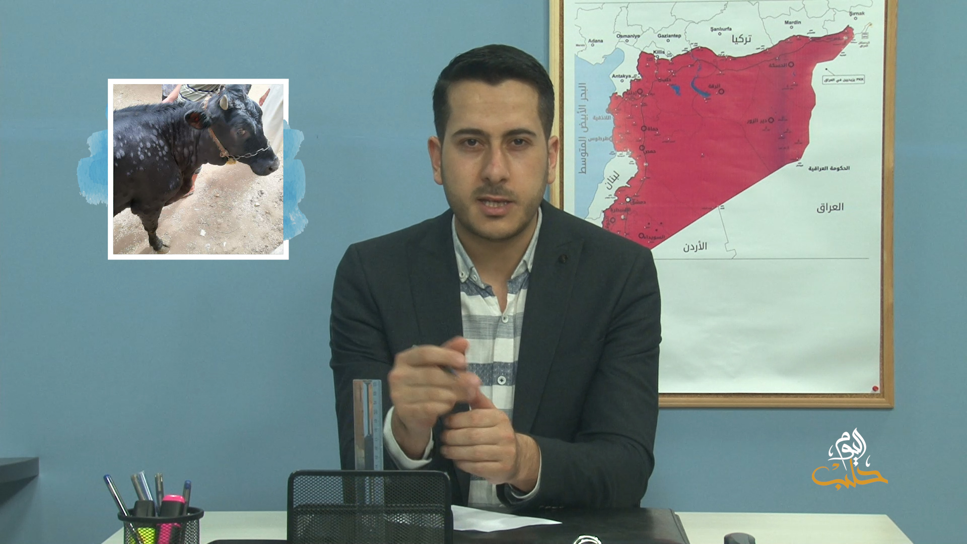 طابور – لحوم البقر النافق بالجدري تملأ محلات الجزارين في الساحل السوري