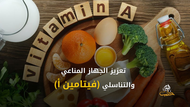 شببلك 72 – “كتابك ديلفري” مشروع شبابي للتشجيع على القراءة في ولاية غازي عنتاب