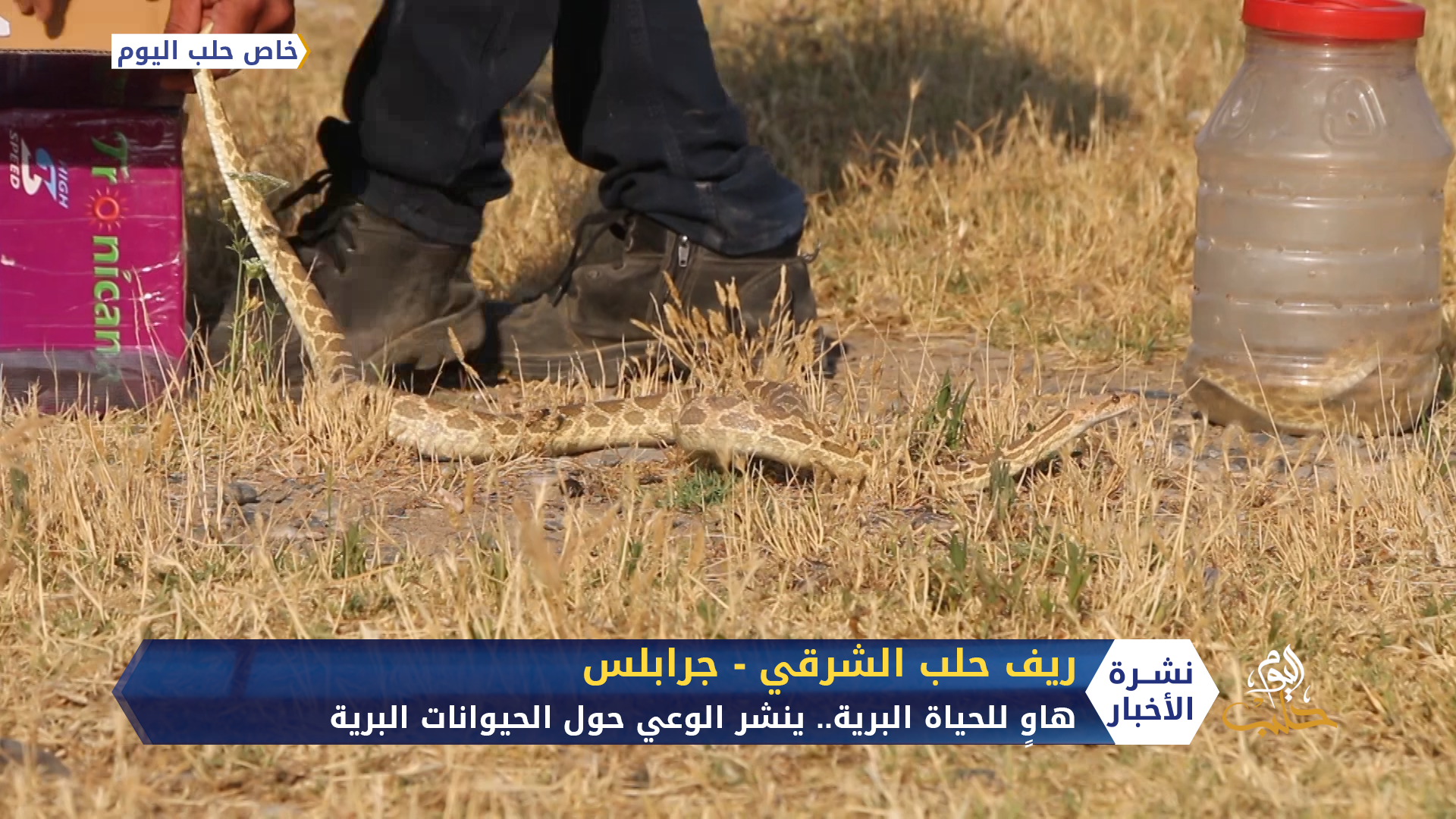 محمد شاب يهوى حياة البراري، وينشر الوعي حول خطورة وفوائد الحيوانات البرية.. تعرف على قصته