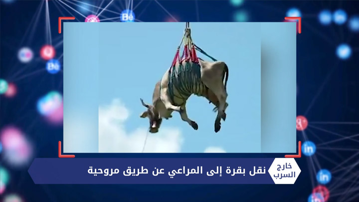 خارج السرب -إنقاذ طفل علق رأسه بين قضبان النافذة  وآلاف الأمريكيين يفرون من منازلهم بسبب الحرائق في كاليفورنيا