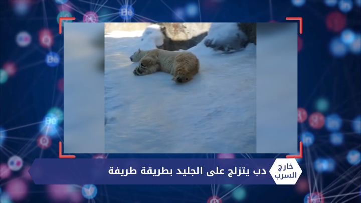 خارج السرب – إنقاذ طفلة صغيرة تائهة في البحر وأكبر علم وطني في العالم في سماء موسكو