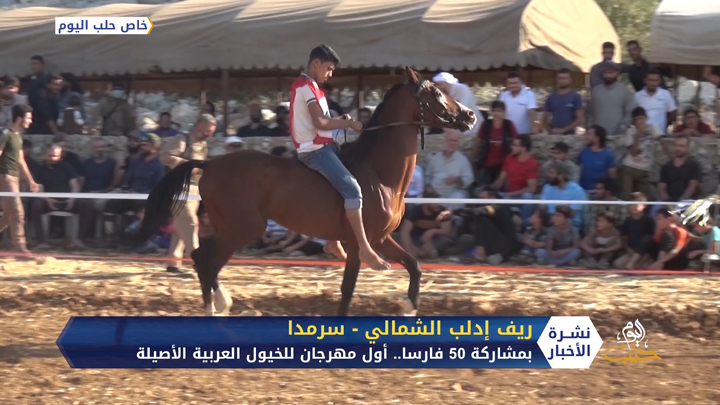 أول مهرجان للخيول العربية الأصيلة في المناطق المحررة شمال سوريا