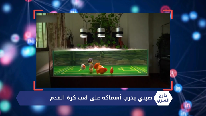 خارج السرب – السجن 12 عاماً لطبيب قلع سن مريض على لوح متحرك و أول سيارة طائرة تركية الصنع