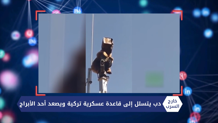 خارج السرب – أب سوري يلتقي بابنه بعد غياب 7 سنوات وأكبر حفل للكشف عن جنس مولود في برج خليفة