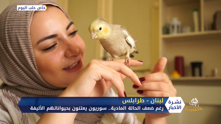 اقتناء السوريين في لبنان للحيوانات الأليفة.. راحة نفسية أم مسؤولية مضاعفة؟