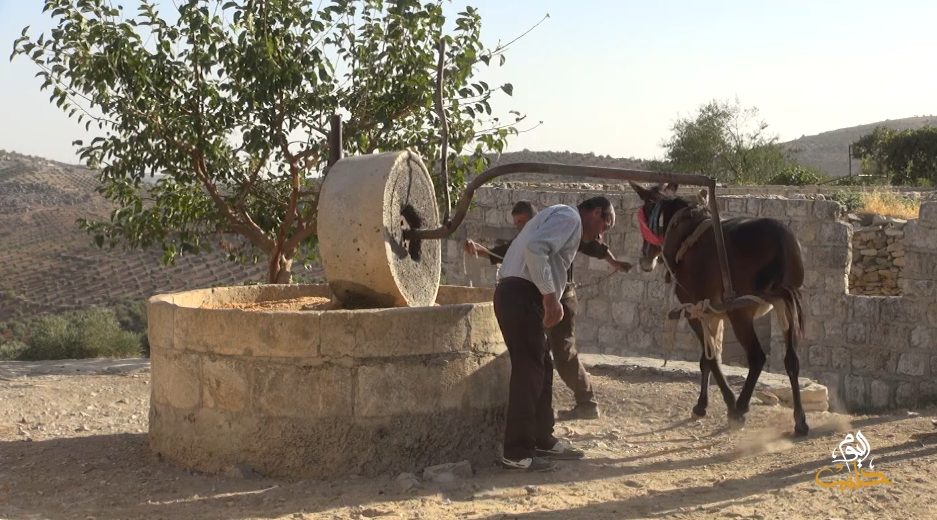 جولات – معامل أوشاغي.. الطاحونة والتاريخ