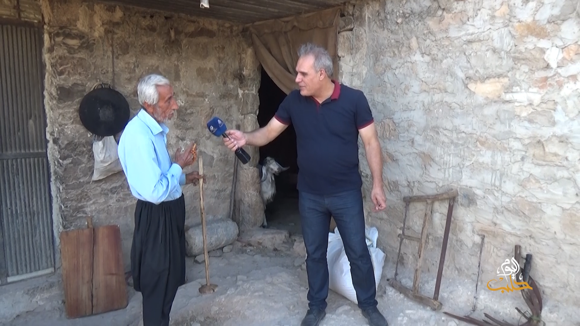 جولات: الأمسية.. الزيتون وشجرة العشّاق