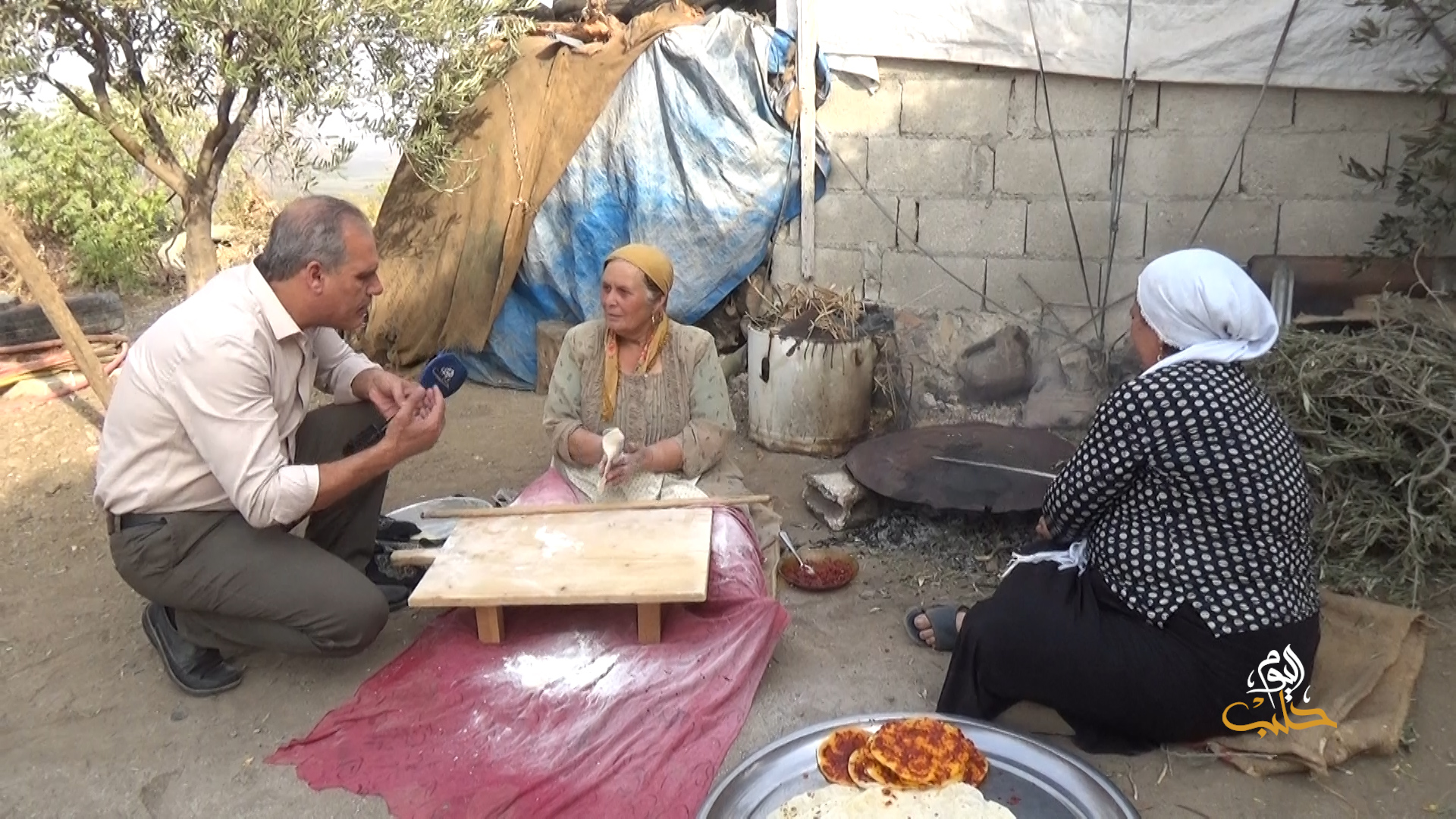 جولات: كفر زيت.. الزيتون والنهر