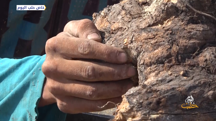 مع اقتراب الشتاء.. ارتفاع ملحوظ بأسعار حطب التدفئة في الشمال السوري  بشكل يفوق قدرة الأهالي الشرائية