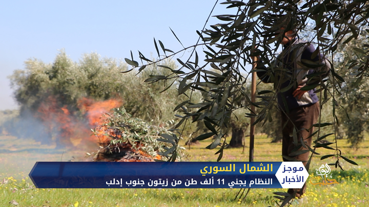 موجز أخبار الثامنة 24 11 2020