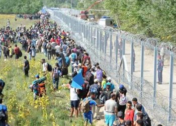 وزير الداخلية التركي.. 113 ألف مهاجر احتجزوا في تركيا خلال 2020