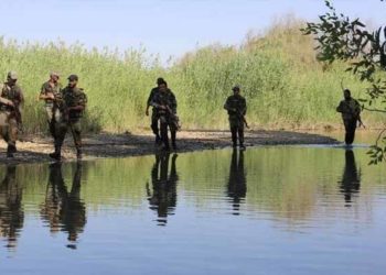 قوات النظام تستولي على أراضٍ زراعية شرقي دير الزور