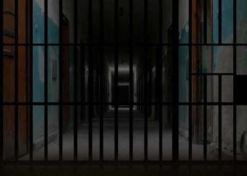 سيدة هولندية ترفع دعوى ضد حكومة بلادها لمعرفة مصير ابنها المعتقل في سوريا