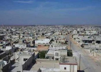 اغتصاب وقتل شابة على يد عنصر من ميليشيا “الدفاع الوطني” بريف حماة