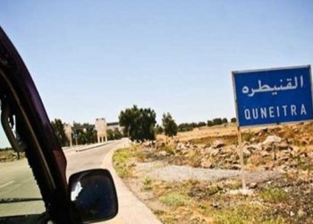 القنيطرة.. مقتل عنصرين تابعين للنظام وإصابة آخر برصاص مجهولين