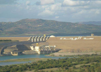 إصابة شخص برصاص حرس الحدود الأردني غربي درعا