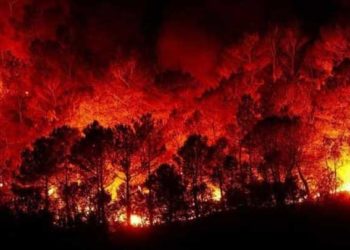 النظام يتهم “جهات خارجية” بتمويل افتعال حرائق الغابات في سوريا