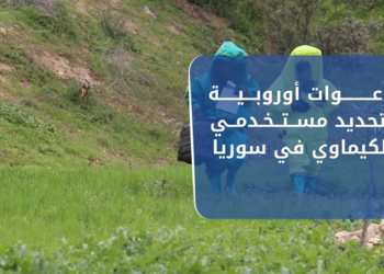 نشرة أخبار المنتصف 12 12 2020 Mid-Day News cast