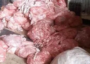 استمرار عمل مسالخ الفروج الفاسد في ريف دمشق برشاوي يتقاضاها مسؤولو النظام