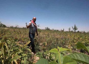 حكومة النظام ترفع أسعار البنزين في مناطق سيطرتها