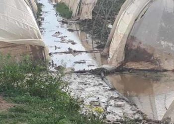 تسجيل مصوّر يوثق لحظة إطلاق النار على “والي تنظيم الدولة” في العراق