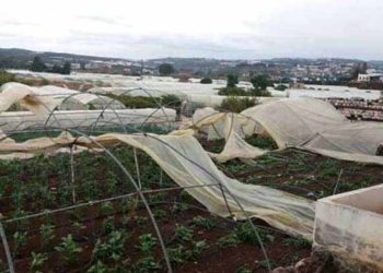 أضرار بممتلكات المزارعين في طرطوس