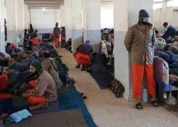 التحالف الدولي ينقل العشرات من سجناء “تنظيم الدولة” من الحسكة