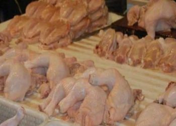 محلات بيع الفروج تغلق أبوابها في حمص