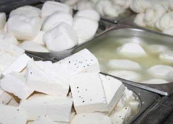 دمشق.. ارتفاع أسعار الأجبان والألبان وعزوف كثير من الأهالي عن شرائها